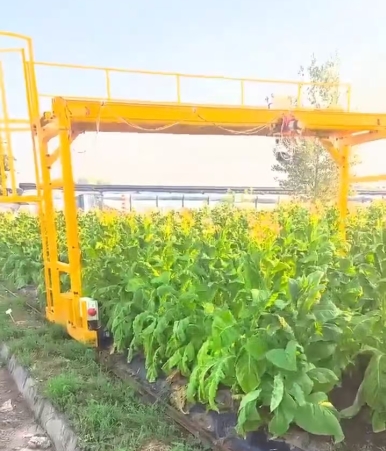 植物生長(zhǎng)檢測(cè)系統(tǒng)龍門(mén)吊